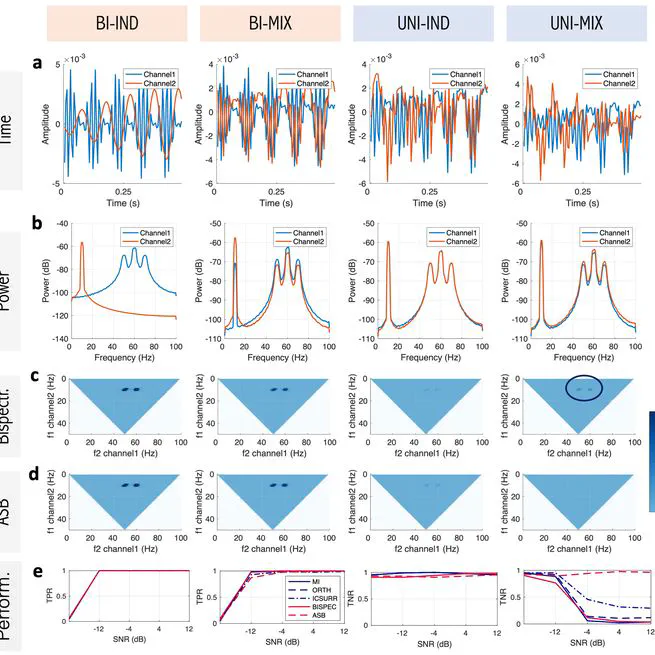 Distinguishing between- from within-site phase-amplitude coupling using antisymmetrized bispectra